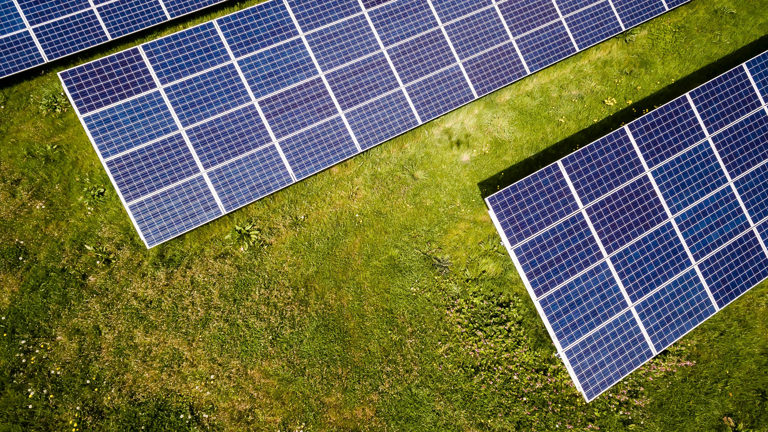 Solar panels in a field